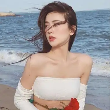 蜘蛛池在自动化站群系统中的角色